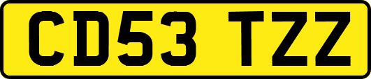 CD53TZZ