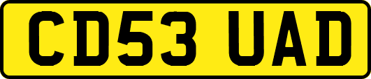 CD53UAD