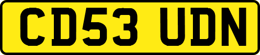 CD53UDN