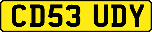 CD53UDY
