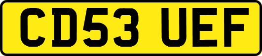 CD53UEF