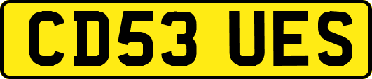 CD53UES