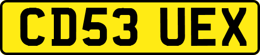CD53UEX