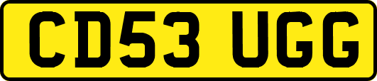 CD53UGG