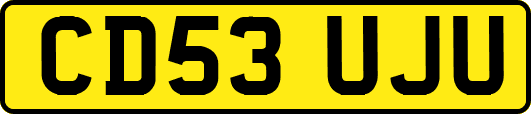 CD53UJU