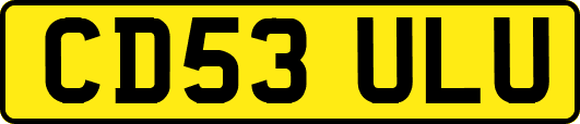 CD53ULU