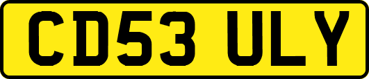 CD53ULY