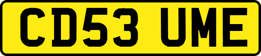 CD53UME