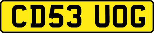 CD53UOG