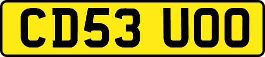 CD53UOO