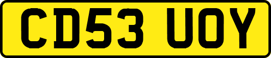 CD53UOY