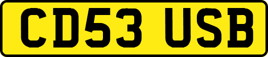 CD53USB