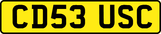 CD53USC