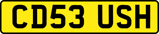 CD53USH