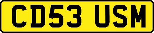 CD53USM