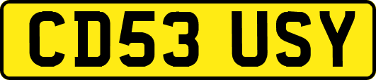 CD53USY