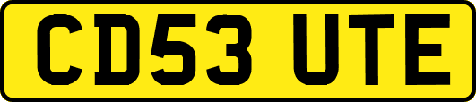 CD53UTE