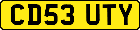 CD53UTY