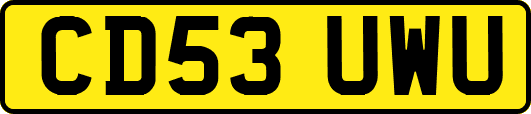 CD53UWU