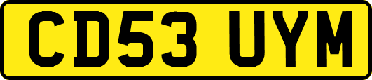 CD53UYM
