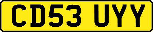 CD53UYY