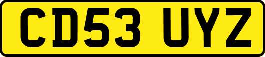 CD53UYZ