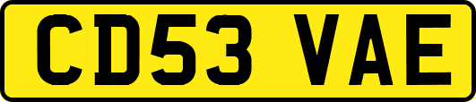 CD53VAE