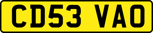 CD53VAO