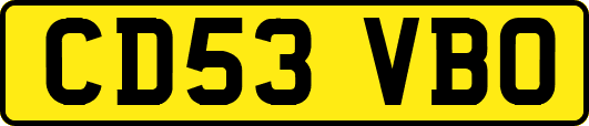 CD53VBO