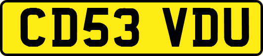CD53VDU