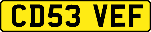 CD53VEF
