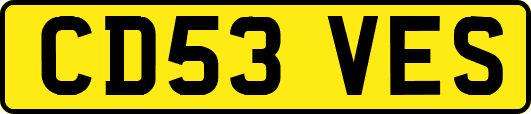 CD53VES