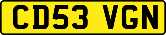 CD53VGN