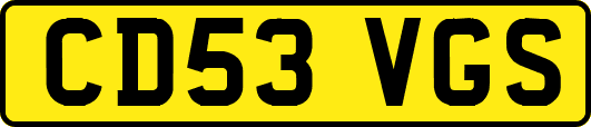 CD53VGS