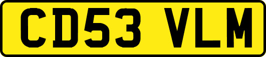 CD53VLM