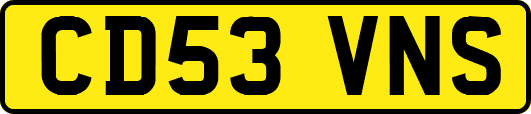 CD53VNS