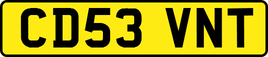 CD53VNT