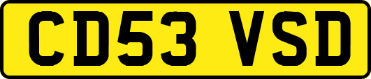 CD53VSD