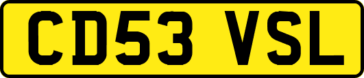CD53VSL