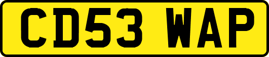 CD53WAP
