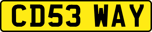 CD53WAY