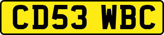 CD53WBC