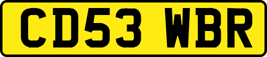 CD53WBR