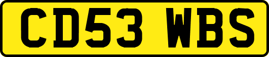 CD53WBS