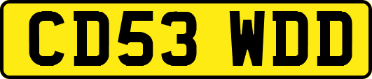 CD53WDD