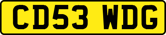 CD53WDG