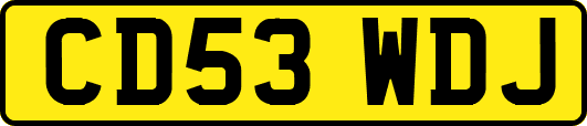 CD53WDJ