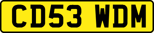 CD53WDM