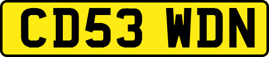 CD53WDN