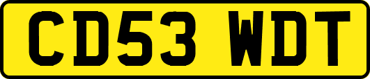 CD53WDT